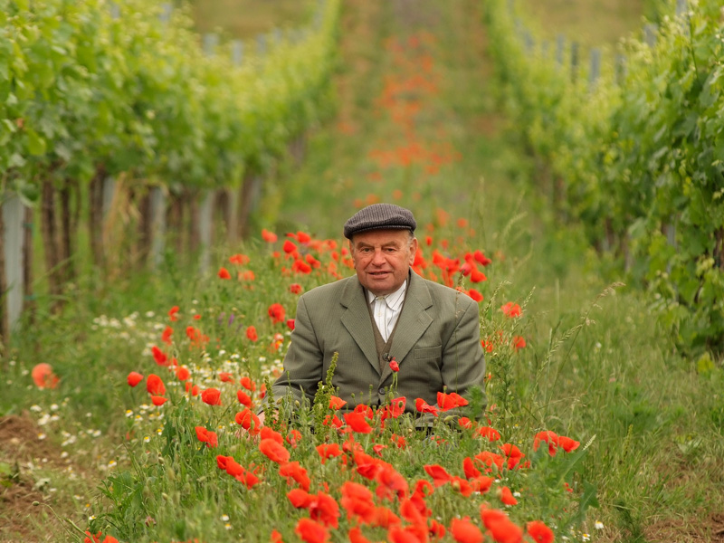 Unsere Weinschätze